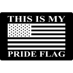 This is my PRIDE flag Americal flag sticker 8